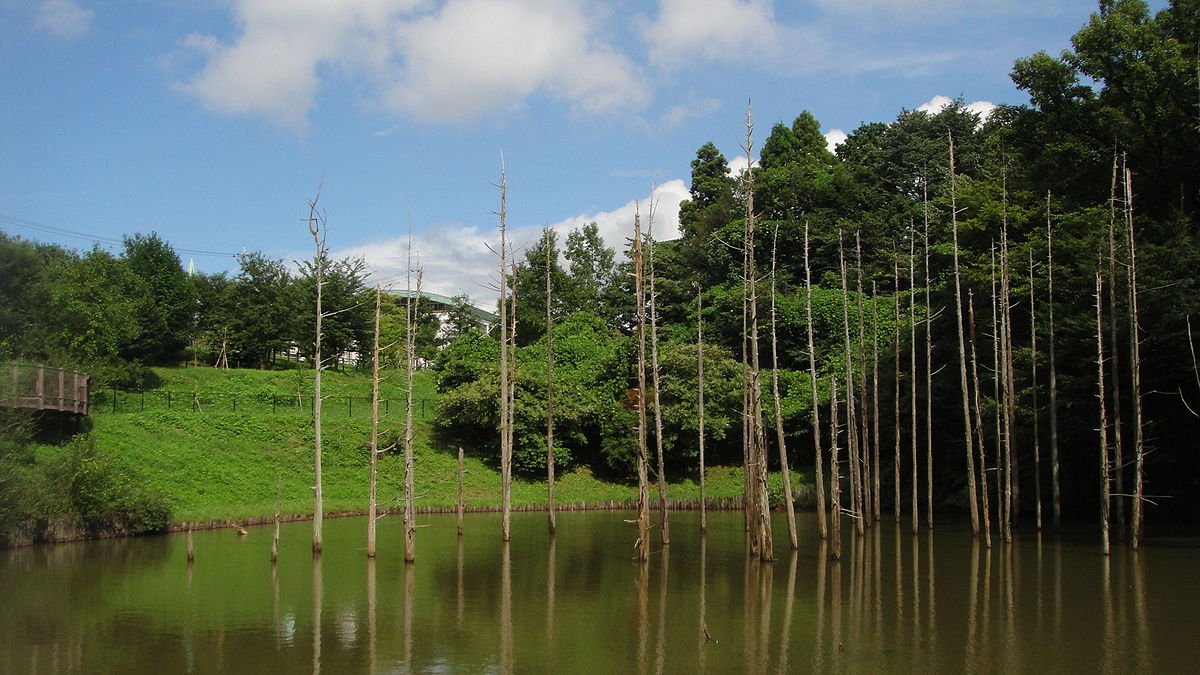 🌳 오야마다이리 공원 이미지 6